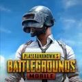 pubg国际服2.6.0手游最新版本下载 v3.3.0