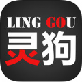 灵狗行车记录仪官方app软件下载 v1.0