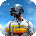 pubg mobile新纪元国际服手游官方安卓版 v3.3.0