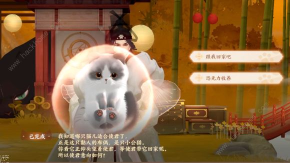 忘川风华录可爱的猫咪捏脸代码大全 2021好看的猫咪怎么捏脸图片2