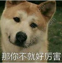 王牌猎手12月29日删档首测 你还在等什么图片2