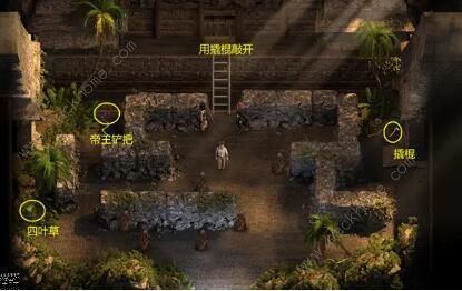 纳迪亚之宝攻略大全 纳迪亚之宝75031青山礼包码分享图片4