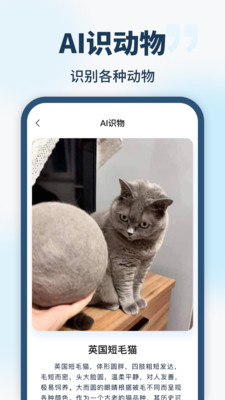 智能识别全能王app手机版下载 v1.1.00