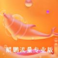 鲲鹏流量专业版软件下载安装 v1.0.0