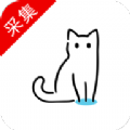 猫影视Pro密码频道app最新下载 v1.0.0