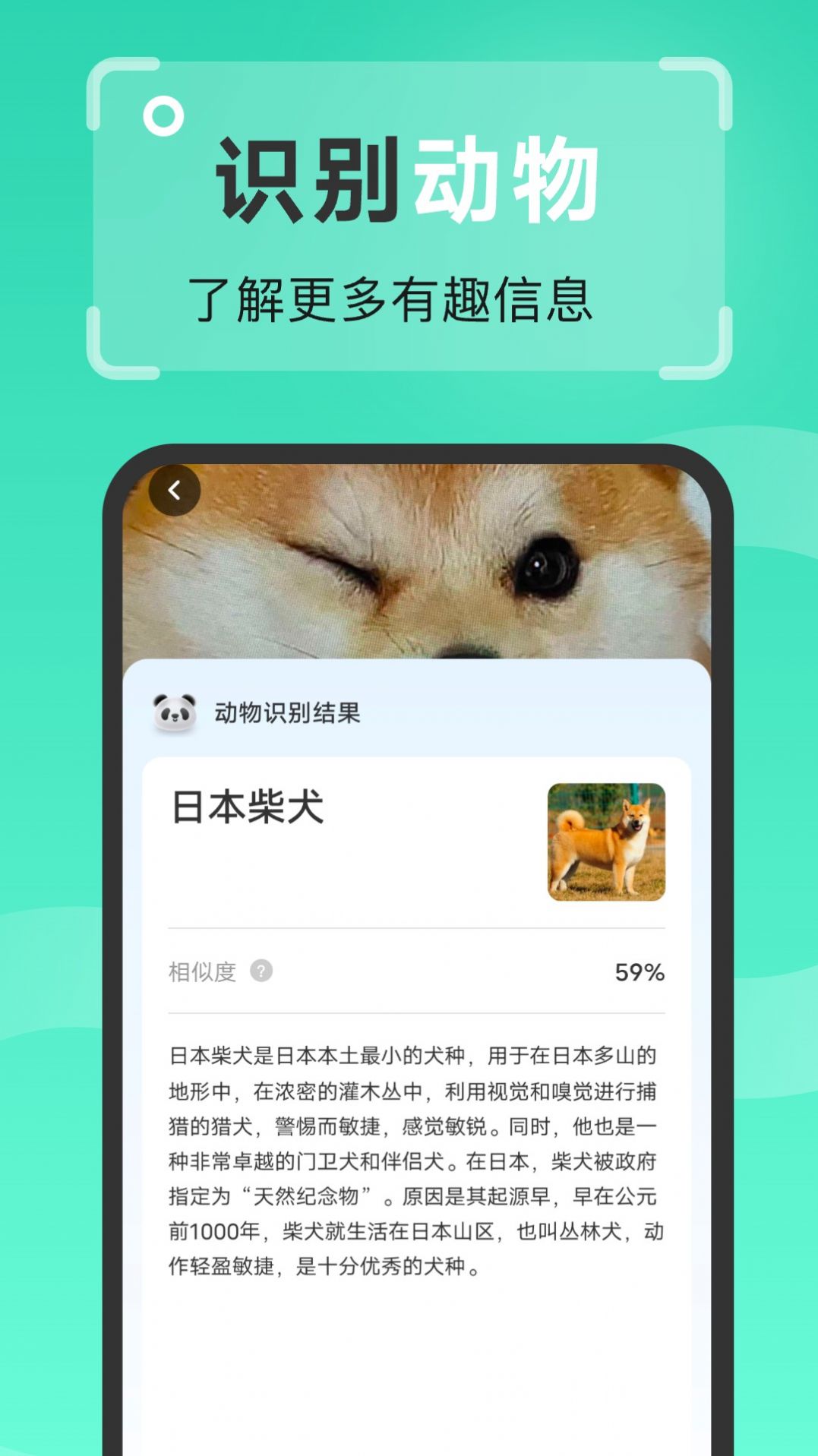 强效扫描王app手机版下载 v1.0.0