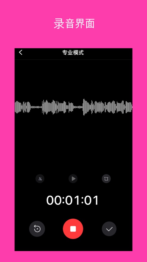 ProAudio专业录音软件app免费版下载 v1.0.1