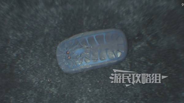 怪物猎人荒野大虚无动在哪捕获    大虚无动捕获攻略图片8