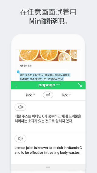 papago(翻译工具)最新安卓免费下载v1.10.15