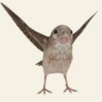 救救那小鸟安卓最新版下载v1.2