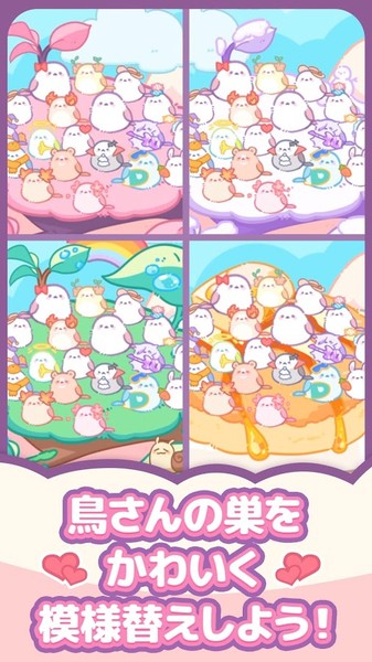 小鸟收集最新安卓免费下载v1.013