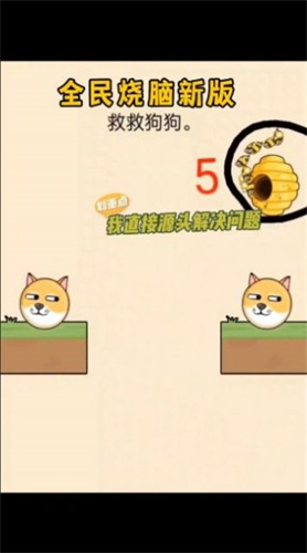 救救狗狗蜜蜂安卓最新版下载v1.0.8