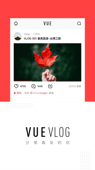 VUE视频手机apk安装包下载v1.0