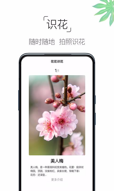 养花大全手机apk安装包下载v4.3.2