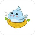 窝圈安卓版下载v1.2.11