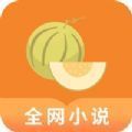 肉丸书吧安卓版最新下载v1.0