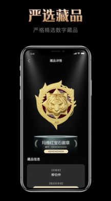 玛雅藏品安卓版下载v1.0.0