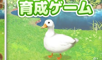 鸭子培养安卓最新版下载v1.2