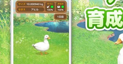 鸭子培养安卓最新版下载v1.2