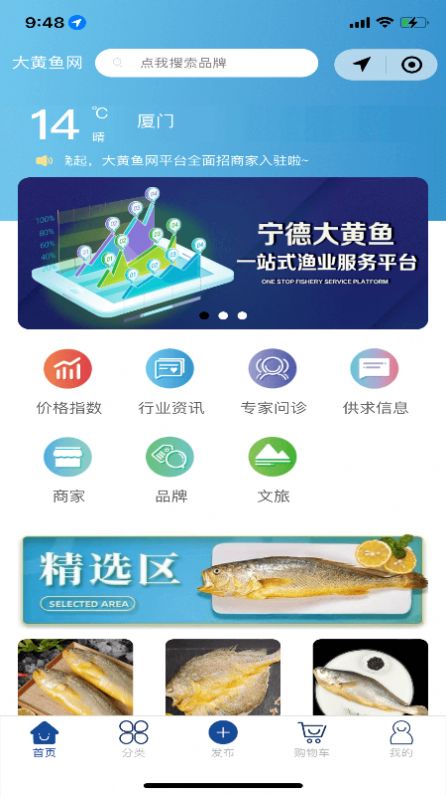 大黄鱼安卓版下载v1.0.1