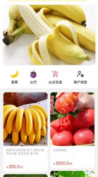 天蕉云果最新版下载v1.0.0