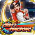 疯狂乒乓球CrazyPingPong最新安卓下载v1.0