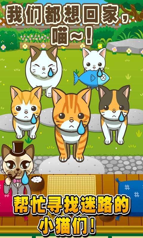 寻找小猫修改版免费下载v1.0.0