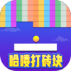 哈喽打砖块安卓版下载v1019.888.888