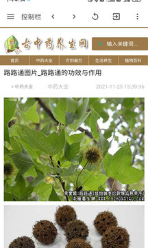 古中药养生网最新版下载v6.6