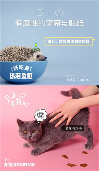 猫饼视频最新版下载v1.2.4