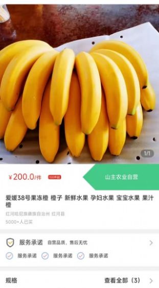 天蕉云果最新版下载v1.0.0