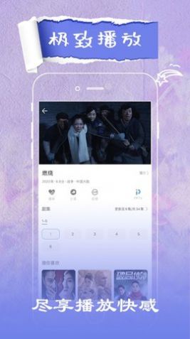 猪头影视最新版免费下载v2.0