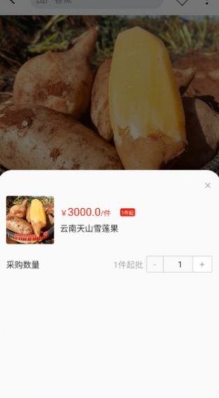 天蕉云果最新版下载v1.0.0