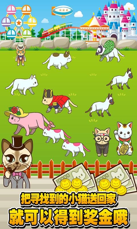 寻找小猫修改版免费下载v1.0.0