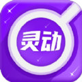灵动放大镜最新版下载v1.0.1