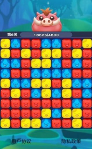 消消看看游戏安卓版下载v1.0.1