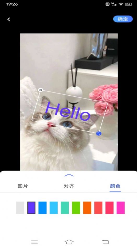 小猪翻译视频最新版下载v1.0.1