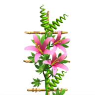 花架大师游戏安卓版下载v0.1