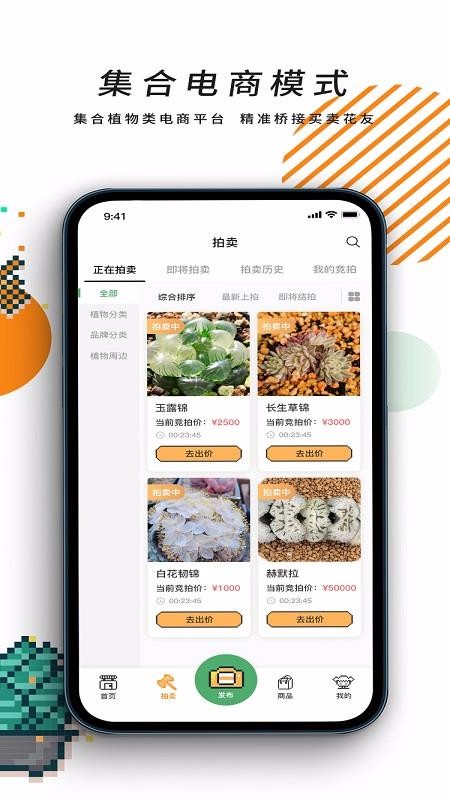 一植拍最新版免费下载v1.0.4