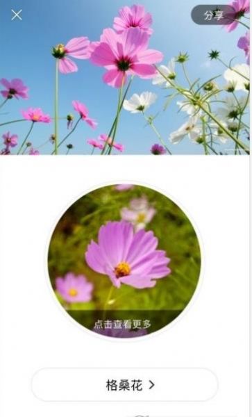 识花大师安卓版下载v1.2.7