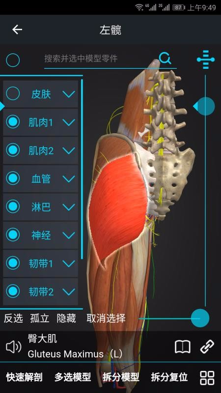 医维度手机apk安装包下载v1.5.5