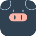 小猪翻译视频最新版下载v1.0.1