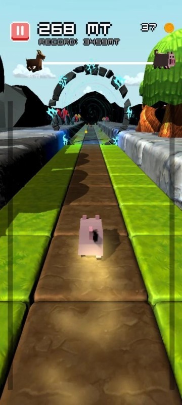 小猪狂奔安卓版下载v1.6.2