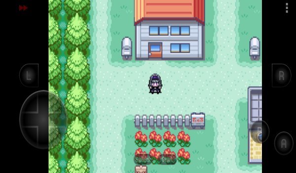 口袋妖怪究极之路安卓版下载vbeta009