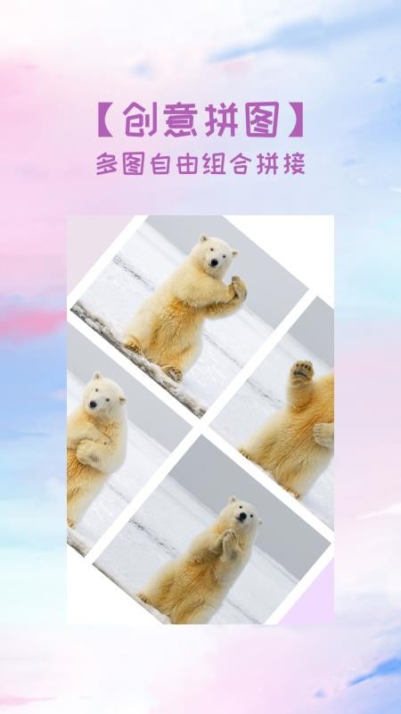 照片拼图切图手机apk安装包下载地址v1.0.3