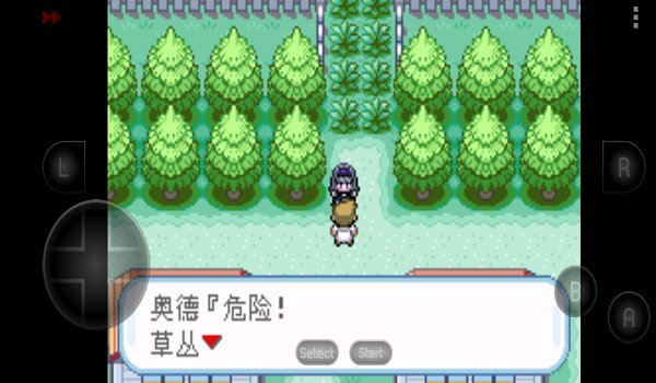 口袋妖怪究极之路安卓版下载vbeta009