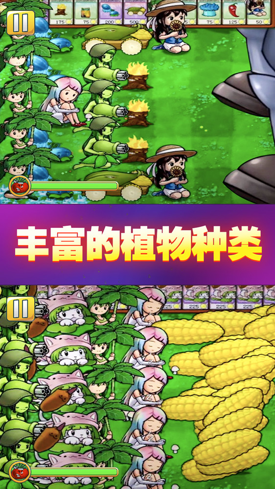 战阵风云安卓版下载v1.0