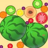 合成大西瓜手机安装包apk下载v1.0.0