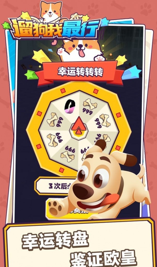 遛狗我最行手机安装包apk下载地址v2.0