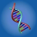 人类跑步进化手机apk最新下载v1.0.10